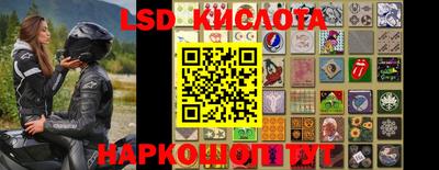 гидропоника Заводоуковск